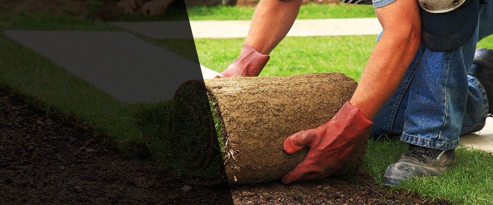 Haugen Landscapers